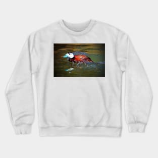 White Headed Duck Crewneck Sweatshirt